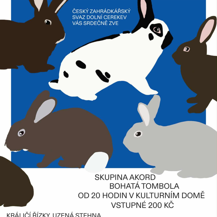 Králičí hody v Dolní Cerekvi 
