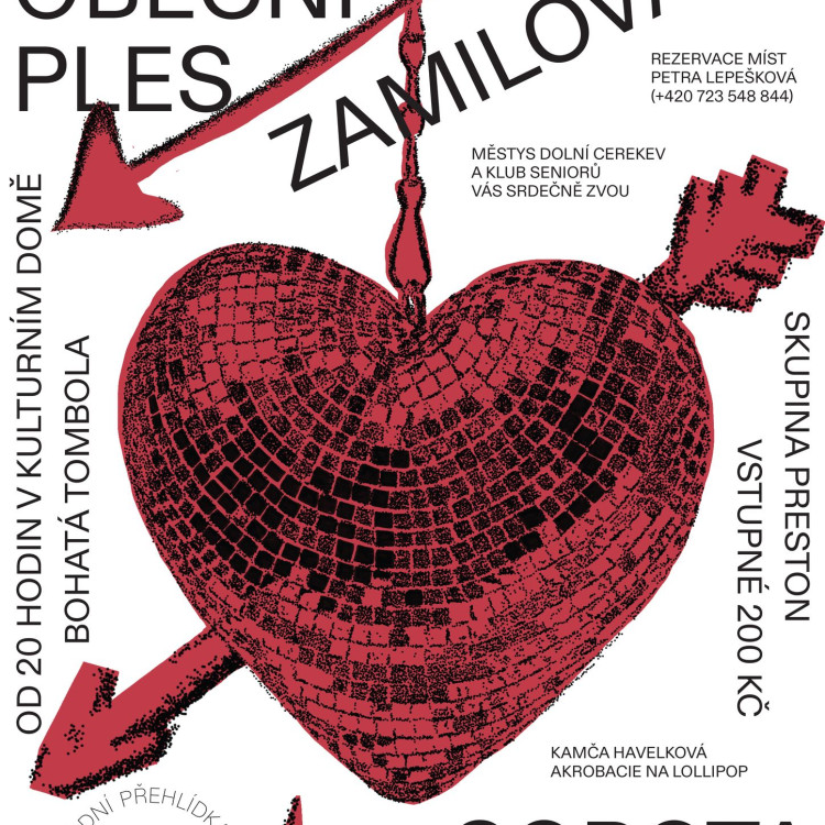 Třináctý obecní ples v Dolní Cerekvi 