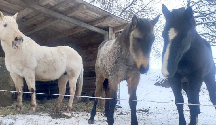 Pořád se něco děje