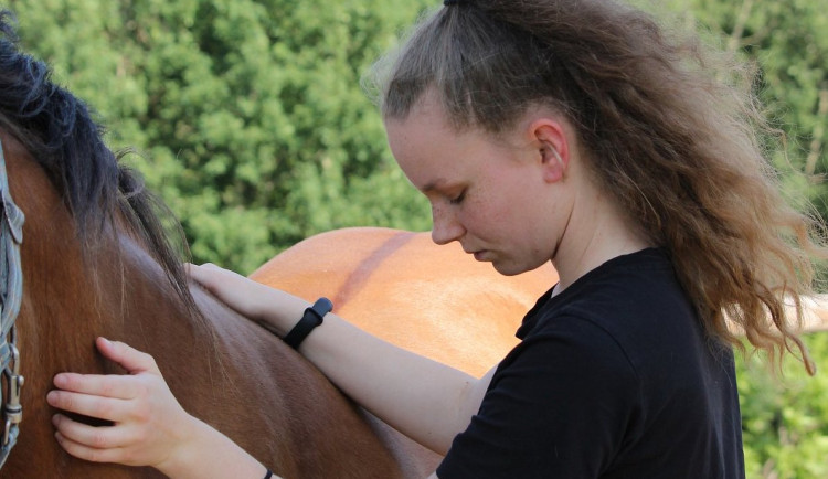 I takto vypadá koňské štěstí