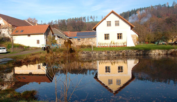 Vycházka z Týnce nad Sázavou do Nespek plná slunce, jinovatky a smíchu