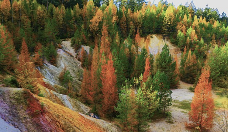 Podzimní focení všude možně, i jinde