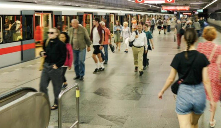 Měla jsem chuť toho hulváta přetáhnout holí