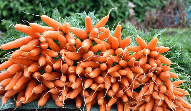 Je libo trochu mrkvičky?