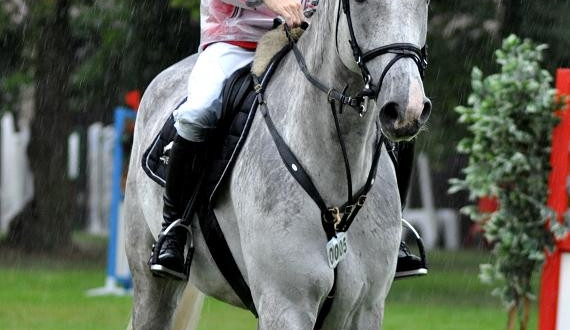 Déšť nevadil jezdcům, koním ani návštěvníkům