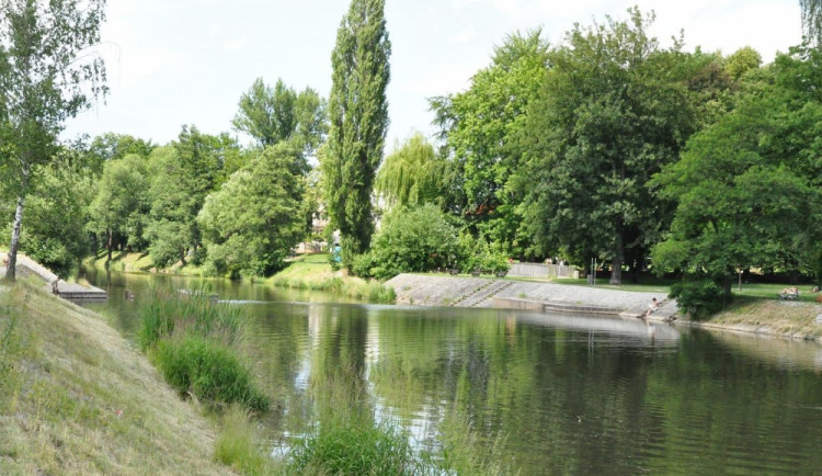 Kauza Jižní spojka – Zachraňte Malák, petice