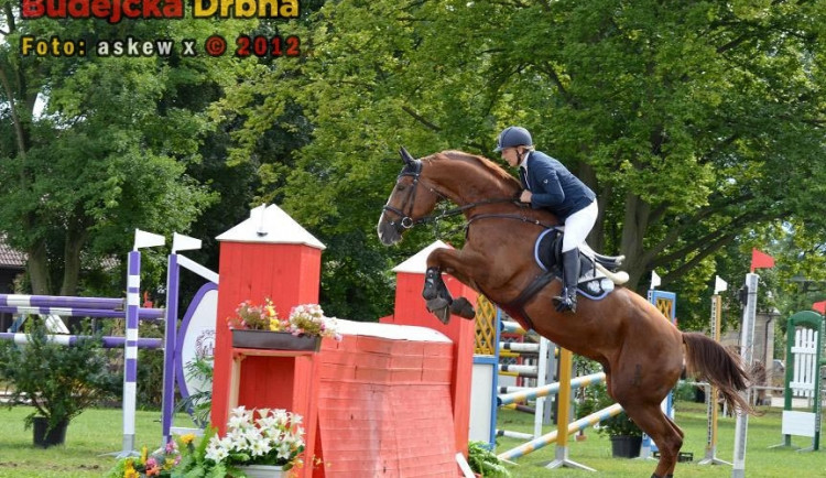 Vondrov o víkendu patřil příznivcům parkuru