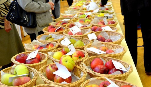 Barvy a vůně ovoce rozzářily budějckou zemědělku
