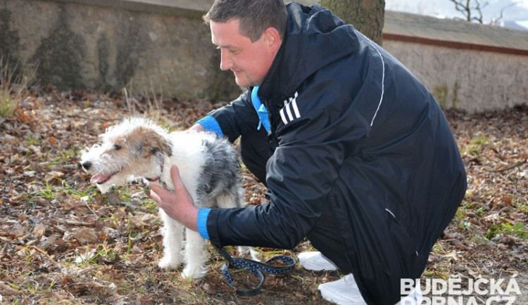 Psí škola aneb Aby život se psem nebyl pod psa