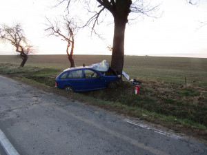 Řidič po nárazu do stromu zemřel