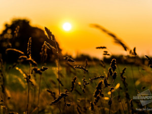Západ slunce na podvečerní louce - Následuj svůj cíl, jdi za sluncem.