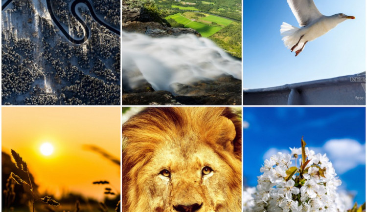 2012-02-11-imgp8532_Fotor_Collage