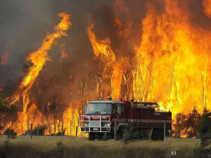 Škoda po včerejším požáru skladu ve Žďáru je vyčíslena. Vyšplhala se na půl milionu korun