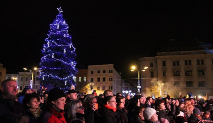 Strom na jihlavském náměstí