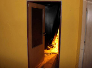 Kriminalisté dnes odhalili v Novém Městě na Moravě pěstírnu konopí