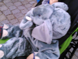 Masopustní veselí zavítalo do Jihlavy, maskám dal svolení samotný primátor