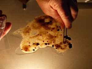 S geology ze SÚRAO v Rohozné debatovali odpůrci i příznivci úložiště