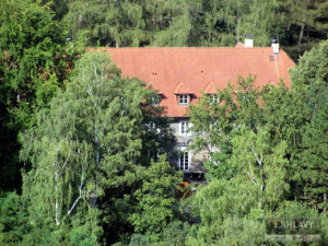 Kvůli poškození kůrovcem se bude v březnu na Heulosu kácet stovka stromů