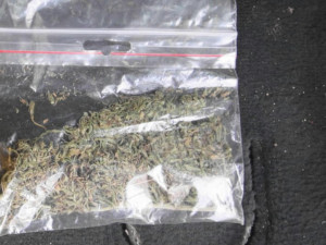 Za výrobu drog hrozí muži z Jihlavska až desetileté vězení