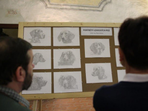 Jihlavská radnice zdarma nabízí výstavu trofejí uplynulého mysliveckého roku