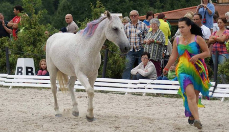 V Rohozné se bude pomáhat koním v nouzi. Letos v duchu dobrodružných filmů a fantasy