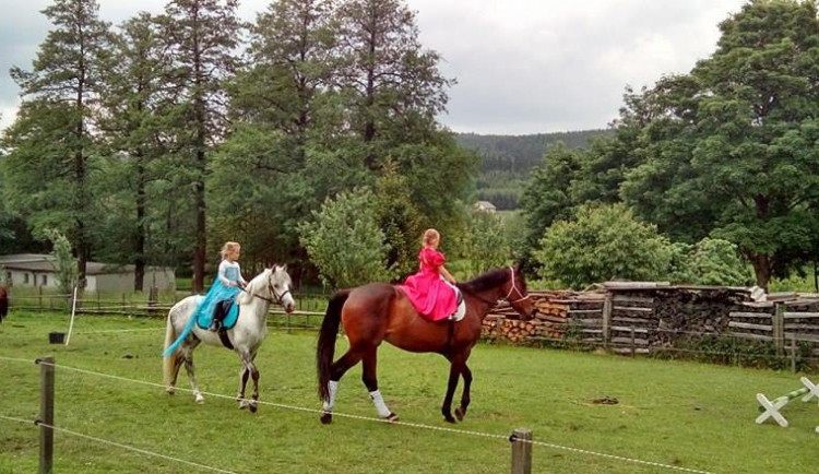 V Rohozné dnes proběhly koněhrádky, charitativní akce určená koním v nouzi