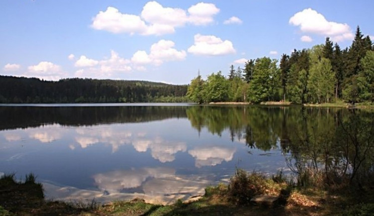 Velký pařezitý rybník