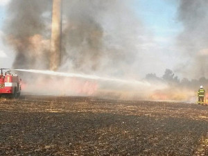 Na Třebíčsku hořelo dvacet hektarů pole s obilím, škoda se vyšplhala na milion korun