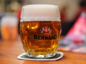 Pivovar Bernard uvařil za pololetí téměř 152 tisíc hektolitrů piva. Daří se mu i za hranicemi
