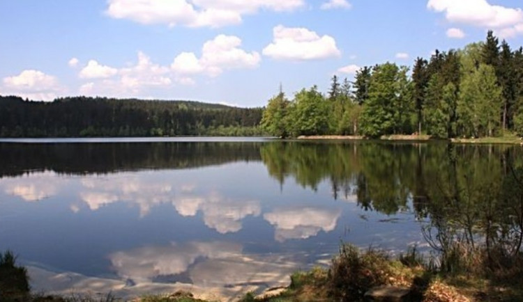 Velký pařezitý rybník 