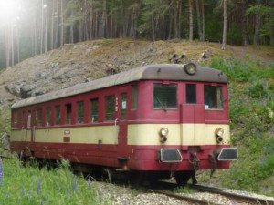 Vyšetřování úterní srážky vlaků na Pelhřimovsku může trvat až několik měsíců