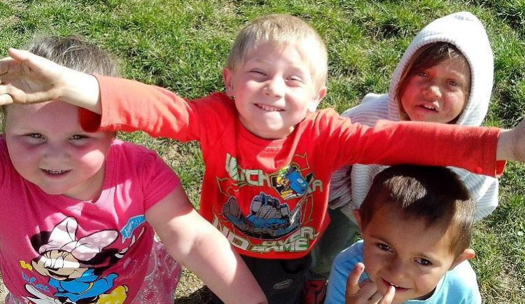 Terénní program Sovy