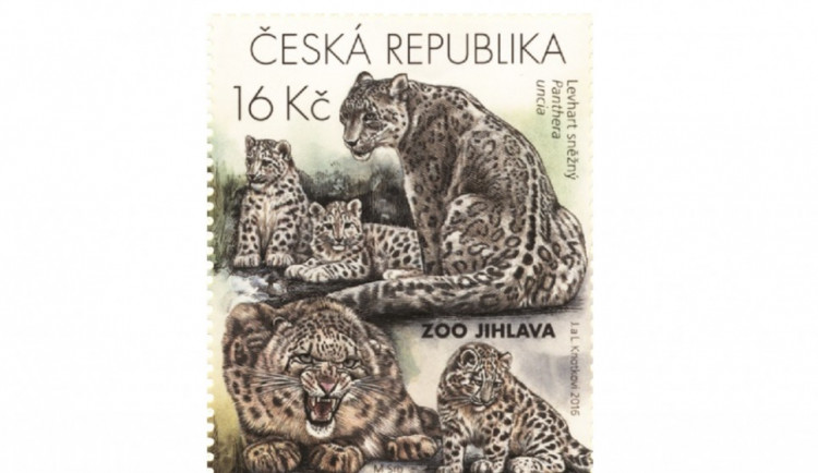 Česká pošta vydává edici známek s levharty sněžnými z jihlavské zoo