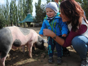 Farma v Sasově zve na Biozemědělský den. Lidé ochutnají bio burčák nebo kančí lovečák