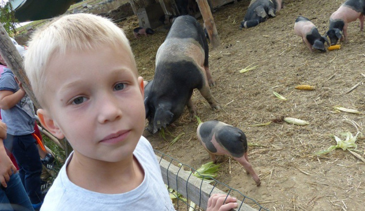 Na farmě v Sasově se dnes konal tradiční Biozemědělský den