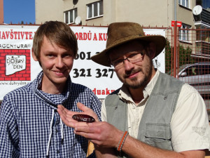 Pelhřimovská Agentura Dobrý den nově zapsala do svých tabulek rekordního švába