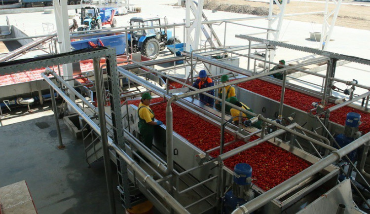 Jihlavská firma PSJ v Rusku staví závod na rajčatovou pastu 