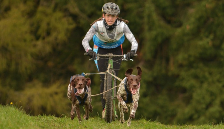 Do novoměstské Vysočina Arény se sjíždějí závodníci se psy z osmnácti zemí Evropy