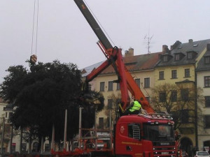Na jihlavské náměstí dorazil vánoční strom. Vyrostl na největším sídlišti Březinky
