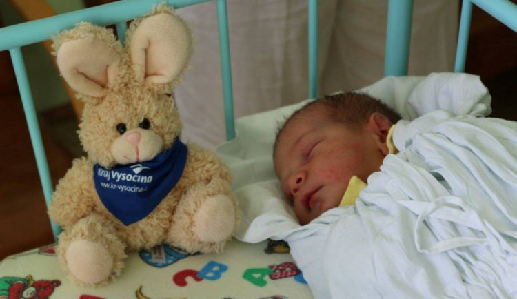 První letošní miminko Vysočiny dostalo od hejtmana zlatý šperk a šek na deset tisíc korun