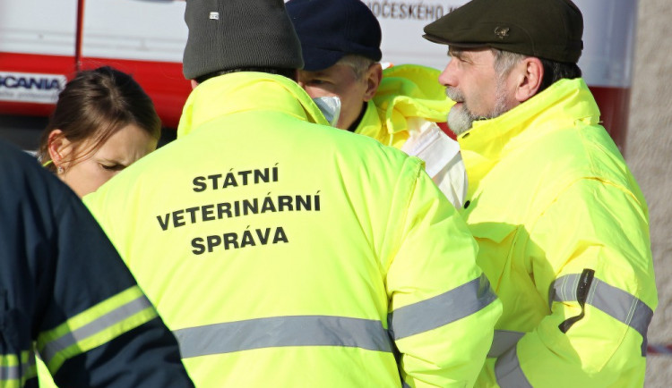 Veterináři potvrdili další dvě ohniska ptačí chřipky na jihu Čech