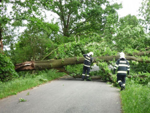 Vyvrácené stromy komplikují dopravu na Vysočině. Ze silnic a tratí je odstraňují hasiči