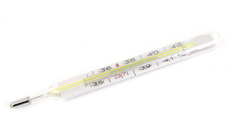 Chřipková epidemie je na Vysočině na ústupu. V Jihlavě přibývá nemocných s příušnicemi