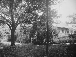 DRBNA HISTORIČKA: Záhadná zahrada MUDr. Leopolda Fritze stála na místě dnešní sokolovny