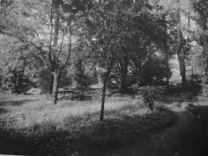 DRBNA HISTORIČKA: Záhadná zahrada MUDr. Leopolda Fritze stála na místě dnešní sokolovny