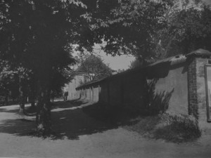 DRBNA HISTORIČKA: Záhadná zahrada MUDr. Leopolda Fritze stála na místě dnešní sokolovny