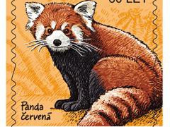 Panda červená