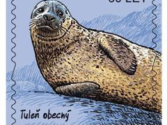 Tuleň obecný