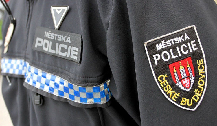 Opilý muž napadl strážníka, dal mu pěstí