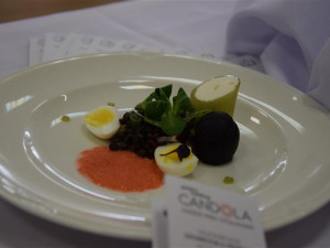 Třebíčští mladí kuchaři brali stříbro a bronz na mezinárodním Gastrofestivalu v Nitře